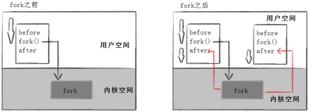 【Linux系统编程】（十七）揭秘 Linux 进程创建与终止：从 fork 到 exit 的底层逻辑全解析