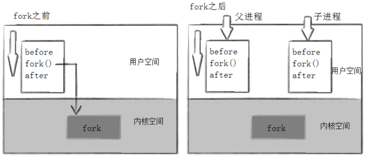【Linux系统编程】（十七）揭秘 Linux 进程创建与终止：从 fork 到 exit 的底层逻辑全解析