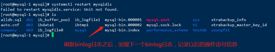 Mysql-数据备份