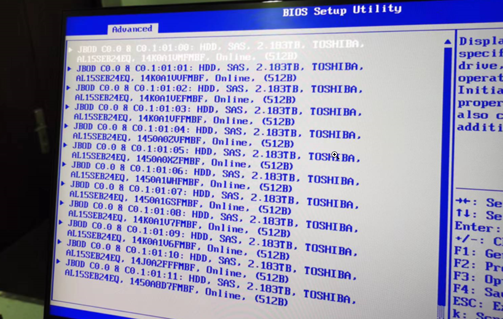 【国产中科可控R6240H0服务器配置虚拟化以及RAID】