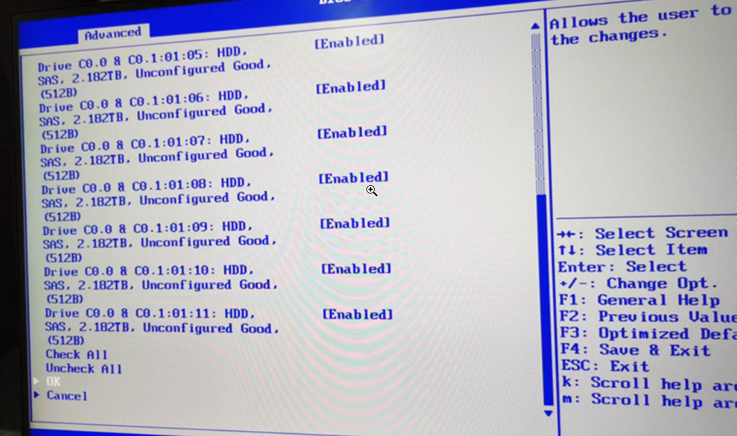 【国产中科可控R6240H0服务器配置虚拟化以及RAID】