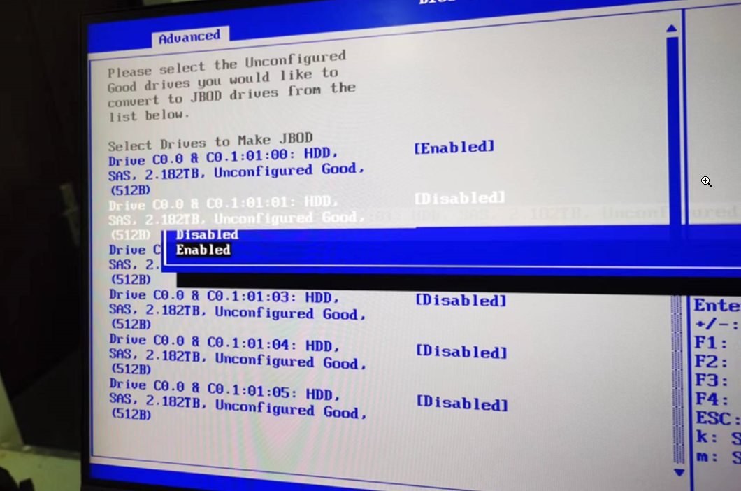 【国产中科可控R6240H0服务器配置虚拟化以及RAID】