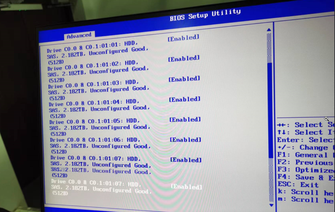 【国产中科可控R6240H0服务器配置虚拟化以及RAID】