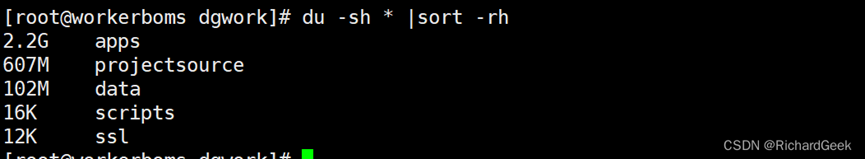 Linux命令——利用 du -sh 命令查看磁盘使用文件大小信息