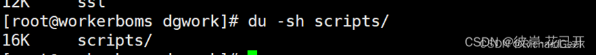 Linux命令——利用 du -sh 命令查看磁盘使用文件大小信息