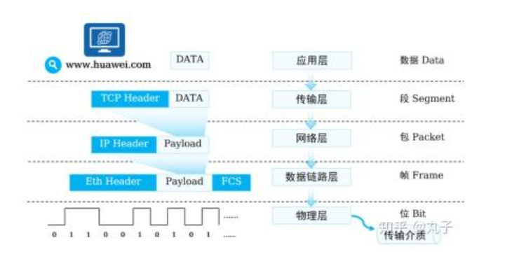 分组交换网络、电路交换网络与TCP/IP协议的关系？