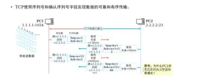 分组交换网络、电路交换网络与TCP/IP协议的关系？