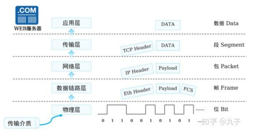 分组交换网络、电路交换网络与TCP/IP协议的关系？