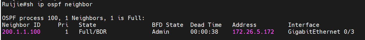 OSPF-邻居建立失败