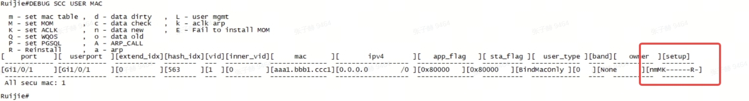 锐捷S53E 端口安全和1X配置后终端1X认证完终端无法访问外网